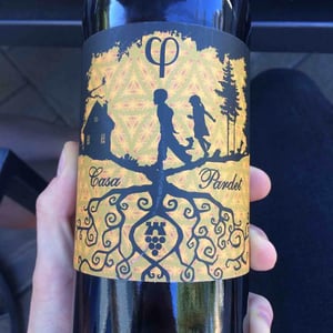 Chardonnay Ánfora - Casa Pardet - josep-torres