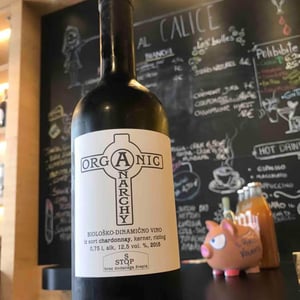 Chardonnay - Organic Anarchy - Aci Urbajs -2018
