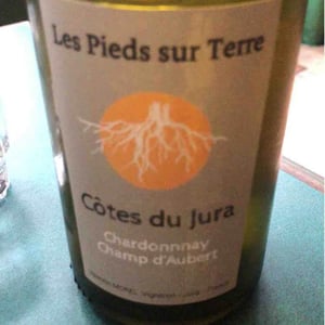 Chardonnay Champ d'Aubert - Les Pieds Sur Terre - Valentin Morel 