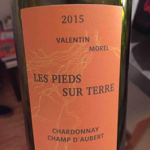 Les Pieds Sur Terre - Valentin Morel - Chardonnay Champ d'Aubert