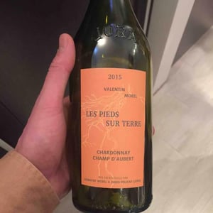 Les Pieds Sur Terre - Valentin Morel - Chardonnay Champ d'Aubert