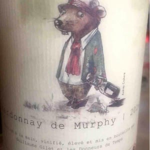 Chardonnay De Murphy - Les Donneurs de Temps - Guillaume Gilet 