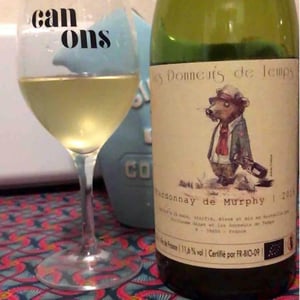 Chardonnay De Murphy - Les Donneurs de Temps - Guillaume Gilet 