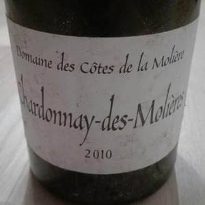 Chardonnay-des-Molières - Côtes de la Molière - Isabelle & Bruno Perraud 