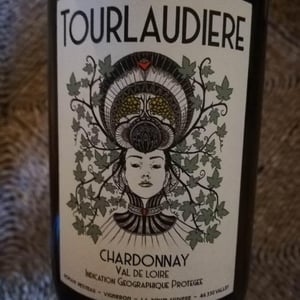 Chardonnay - Domaine de la Tourlaudière - romain-petiteau