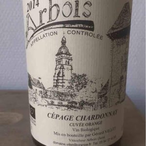Chardonnay - Domaine Villet - gerard-christine-villet