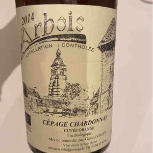 Chardonnay - Domaine Villet - gerard-christine-villet