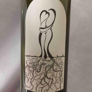 Chardonnay - Vinarstvo Zorjan - marija-bozidar-zorjan -2017