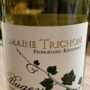 Chardonnay - Trichon - domaine-trichon