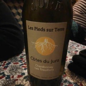 Chardonnay Les Trouillots - Les Pieds Sur Terre - valentin-morel