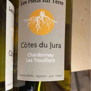 Chardonnay Les Trouillots - Les Pieds Sur Terre - valentin-morel