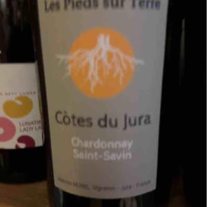 Chardonnay Les Trouillots - Les Pieds Sur Terre - valentin-morel