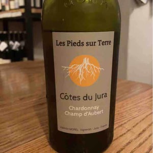 Chardonnay Les Trouillots - Les Pieds Sur Terre - Valentin Morel 