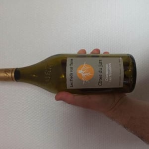 Les Pieds Sur Terre - Valentin Morel - Chardonnay Les Trouillots