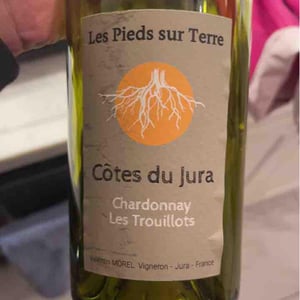 Les Pieds Sur Terre - Valentin Morel - Chardonnay Les Trouillots