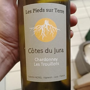 Chardonnay Les Trouillots - Les Pieds Sur Terre - valentin-morel