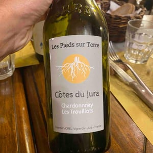 Chardonnay Les Trouillots - Les Pieds Sur Terre - Valentin Morel 