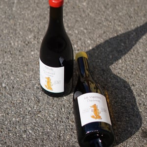 Chardonnay les Viandris - Philippe Bornard & Albert Ponnelle - philippe-bornard-albert-ponnelle -2021