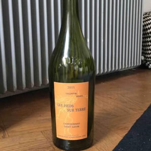 Chardonnay Saint-Savin - Les Pieds Sur Terre - valentin-morel