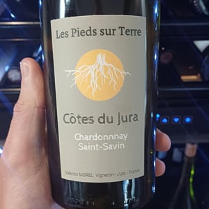Chardonnay Saint-Savin - Les Pieds Sur Terre - valentin-morel