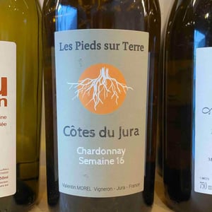 Chardonnay Semaine 16 - Les Pieds Sur Terre - Valentin Morel 