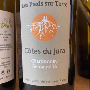 Chardonnay Semaine 16 - Les Pieds Sur Terre - Valentin Morel 