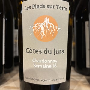 Chardonnay Semaine 16 - Les Pieds Sur Terre - Valentin Morel 