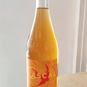 Chardonnay sous X - Plateau Du Cascal - sofi-bataillard-et-julien-veyret