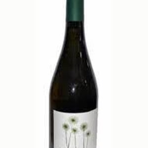 Chardonnay - Bodegas Y Viñedos Pigar - juan-piqueras-susana-lopez