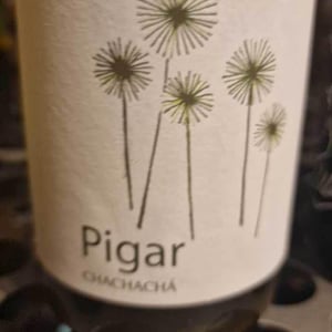 Chardonnay - Bodegas Y Viñedos Pigar - juan-piqueras-susana-lopez