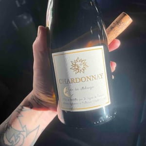 Chardonnay - Les Vignes de Paradis - dominique-lucas -2018