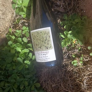 Chardonnay Vin De Nuyts - Vin & Pic - Laurent & Christine Demeure, Pierre Rolle 