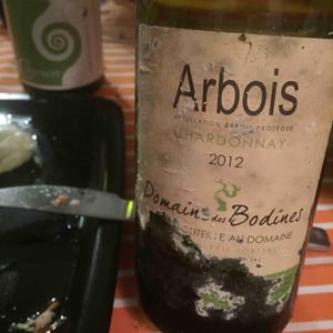 Domaine des Bodines - Emilie & Alexis Porteret - Chardonnay