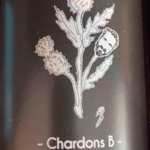 Chardons B - Domaine Delettre - stephane-delettre