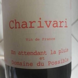 Domaine du Possible - Loïc Roure - Charivari