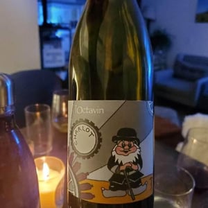 Domaine de l'Octavin - Alice Bouvot - Charlot