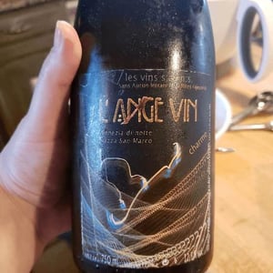 Charme - Les Vignes de l'Angevin - jean-pierre-robinot