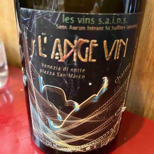 Les Vignes de l'Angevin - Jean-Pierre Robinot - Charme