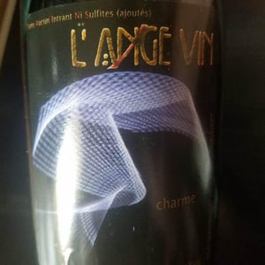Charme - Les Vignes de l'Angevin - jean-pierre-robinot