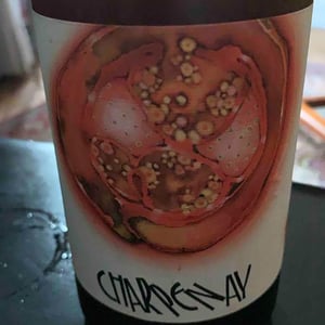 Charpenay Rouge - Domaine de la Gapette - Victor Blondin 