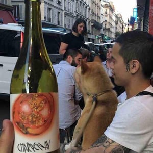 Charpenay - Domaine de la Gapette - Victor Blondin 