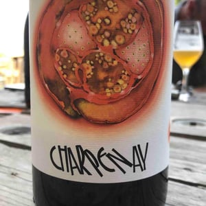 Charpenay - Domaine de la Gapette - Victor Blondin 