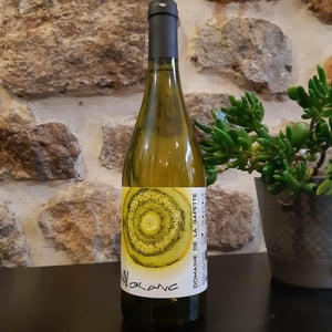 Charpenay - Domaine de la Gapette - victor-blondin