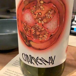 Charpenay Rouge - Domaine de la Gapette - Victor Blondin 
