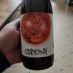 Charpenay Rouge - Domaine de la Gapette - victor-blondin