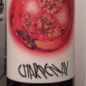 Domaine de la Gapette - Victor Blondin - Charpenay Rouge