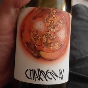Charpenay Rouge - Domaine de la Gapette - Victor Blondin 