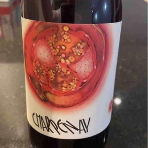 Charpenay Rouge - Domaine de la Gapette - victor-blondin