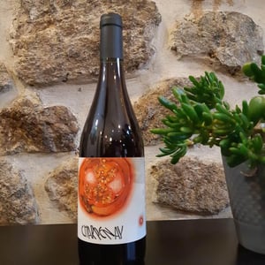 Charpenay Rouge - Domaine de la Gapette - Victor Blondin 