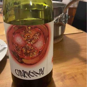 Charpenay Rouge - Domaine de la Gapette - Victor Blondin 
